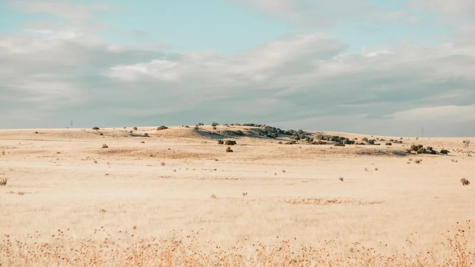 Paisagem de campo seco e aberto, típica do período de estiagem